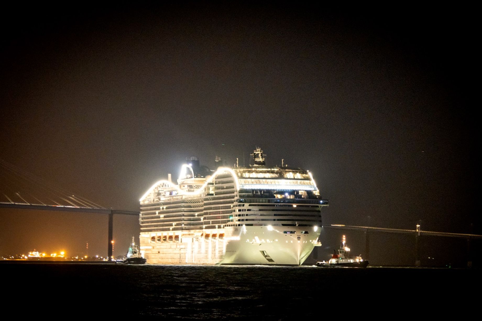 Le Port de Saint-Nazaire